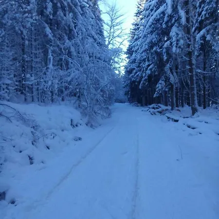 Casa Mueller Dom wakacyjny