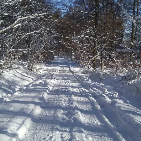 Dom wakacyjny Casa Mueller *