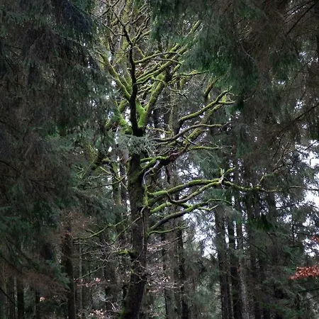 Casa Mueller Lissendorf