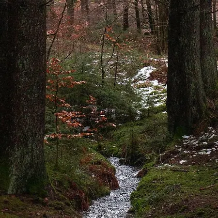 Casa Mueller Dom wakacyjny Lissendorf