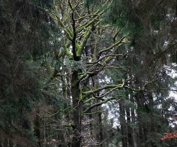 Casa Mueller Lissendorf