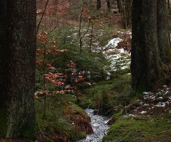 Casa Mueller Semesterbostad Lissendorf